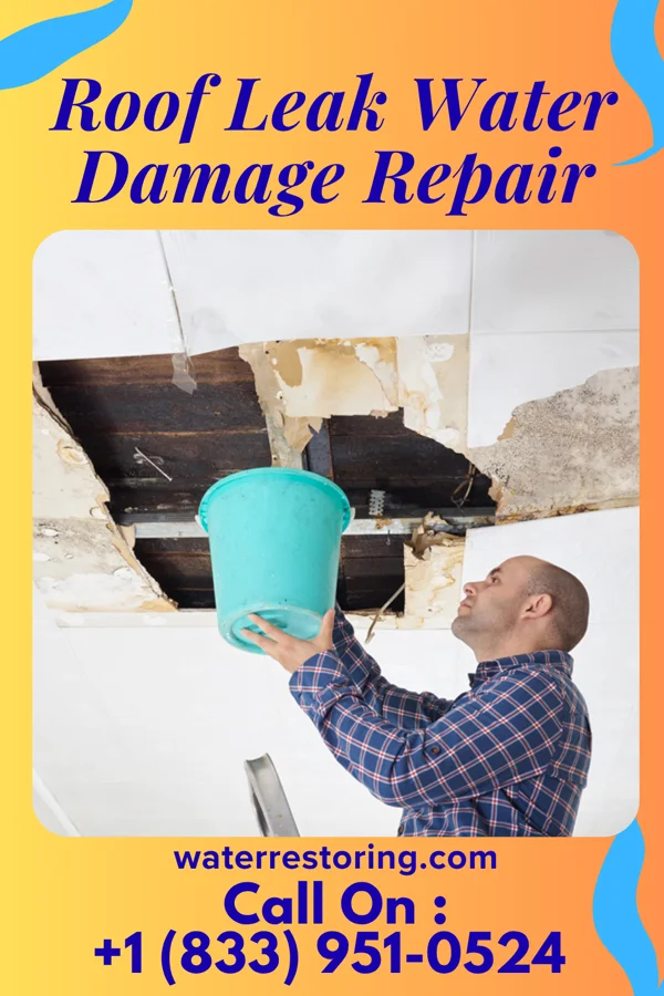 Roof Leak Water Damage Repair in Bloomburg, TX